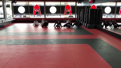 bjj buffalo ny|spar self defense.